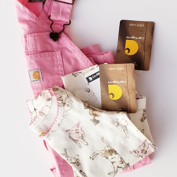 Carhartt Other - NWT! Carhart Overall Bundle